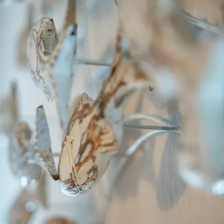 Hues Wuef Im Haus Ornum * Westerland